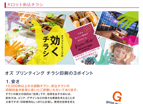 (株)OZP大ロット折込チラシ